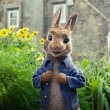 PeterRabbit